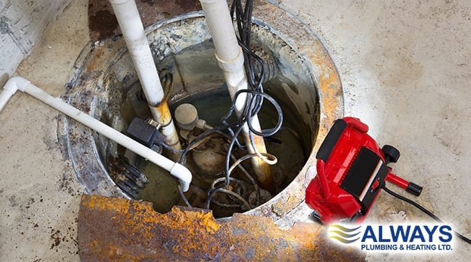 Do I Need a Sump Pump? Image