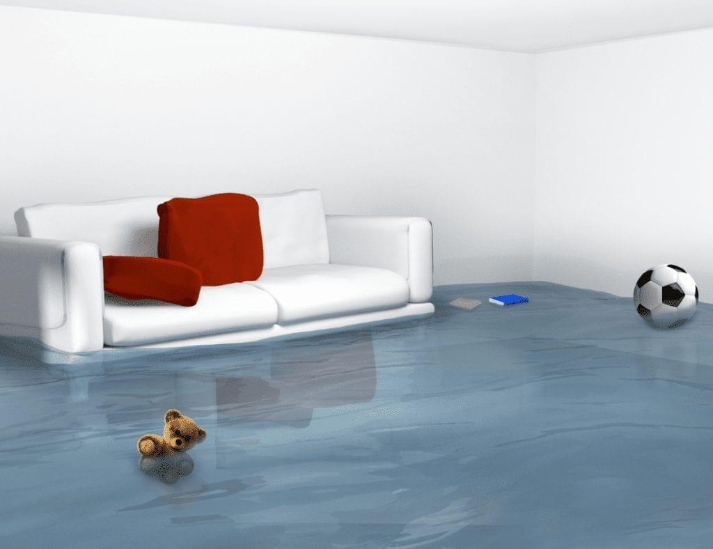 Prevent Flooding In Your Edmonton Home & Save Money With A Backwater Valve Image