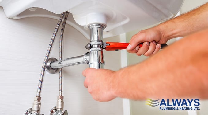Green Plumbing Tips for Edmonton Homes Image