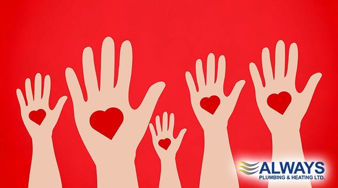 Volunteer in Edmonton this Holiday Season Image