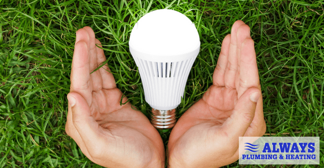 Earth Day Tips for Energy-Efficient Homes in Edmonton Image