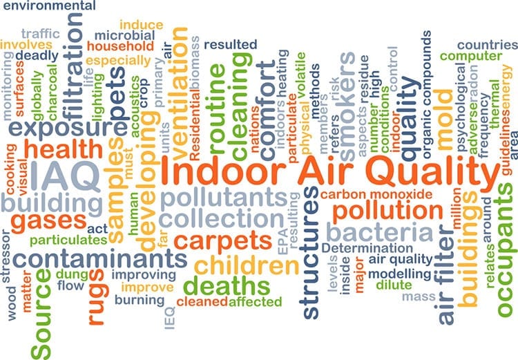 The Importance of Indoor Air Quality Image