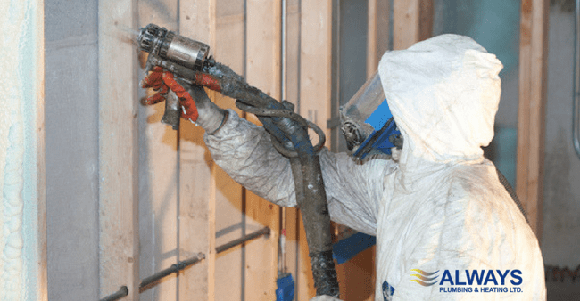 The Most Important Areas to Insulate Your Edmonton Home Image