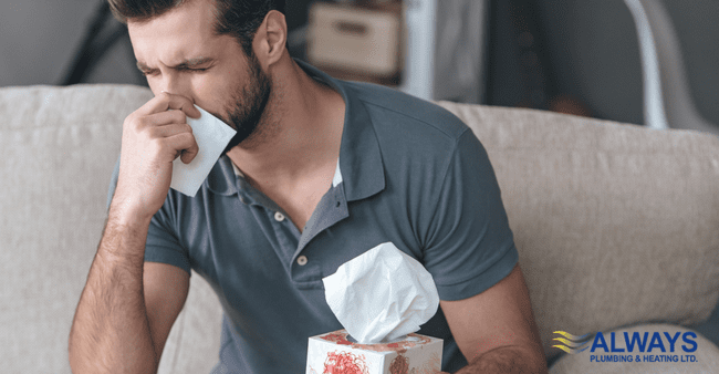 Fighting Allergies in Your Edmonton Home Image