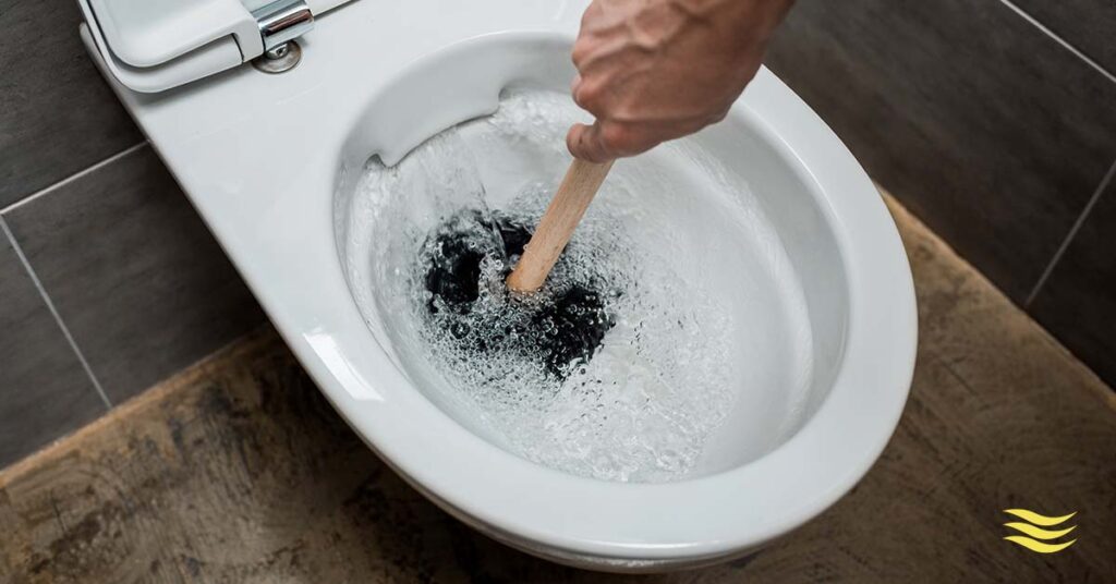 Three Types of Plungers & Their Purposes Image
