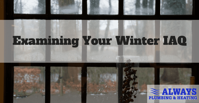 Examining the Winter IAQ in Your Edmonton Home Image