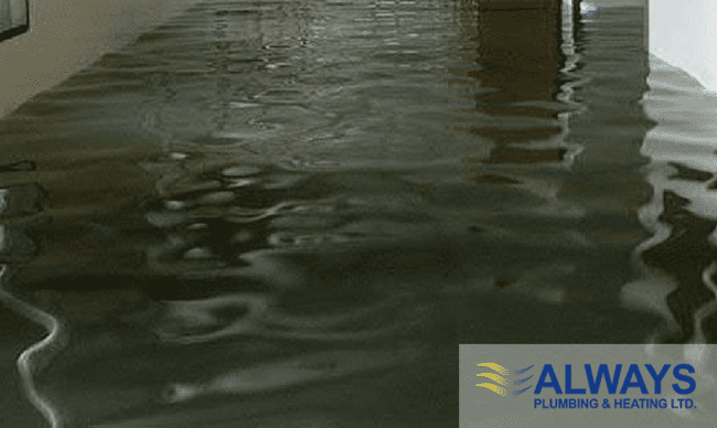 Sump Pump Maintenance Tips for Your Edmonton Home Image