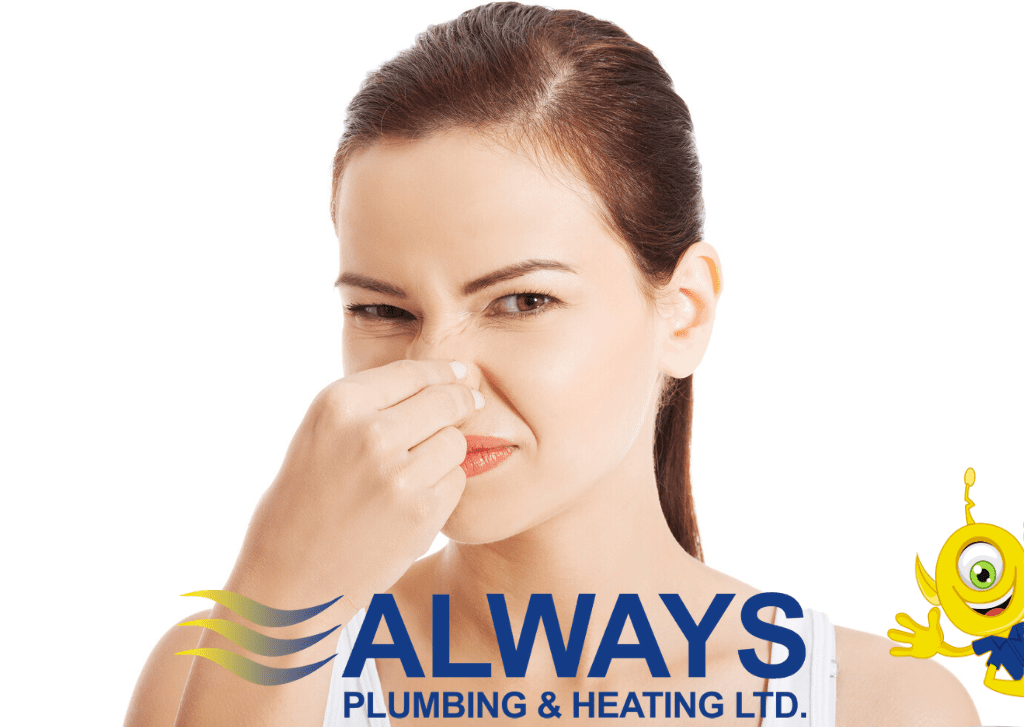 How To Clean Smelly Drains Image
