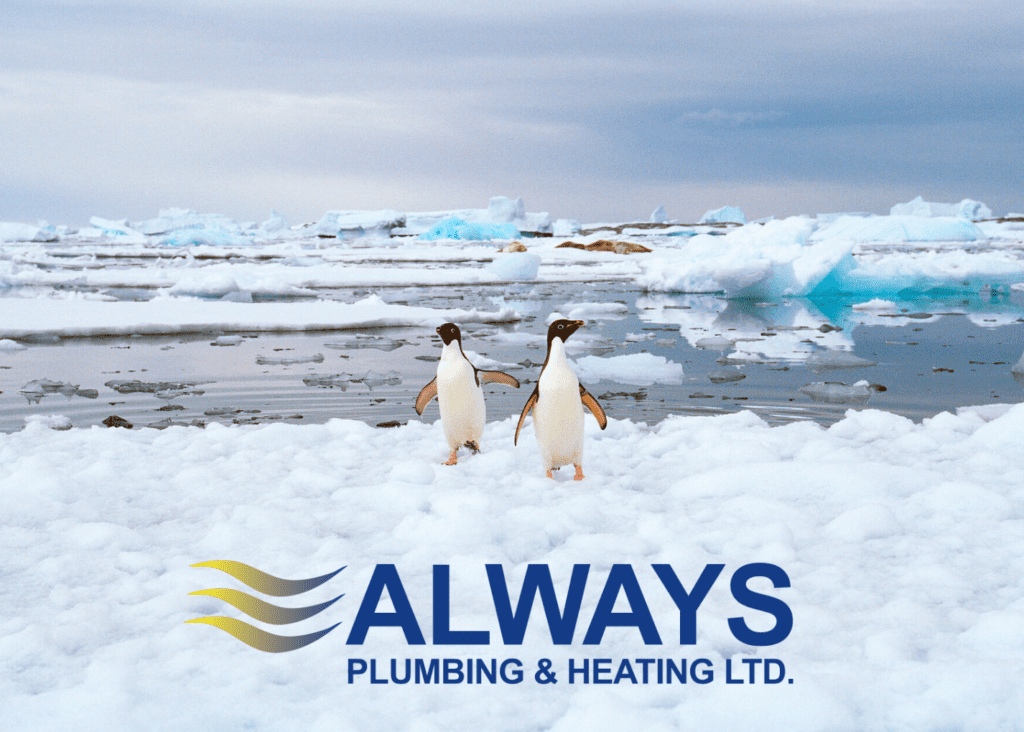 How to Prevent Frozen Pipes Image