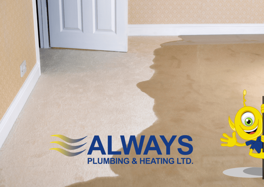 How to Prevent Basement Flooding Image
