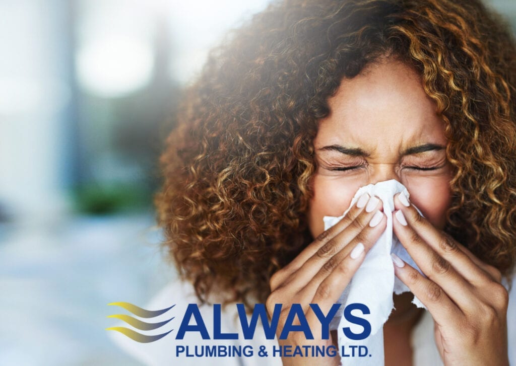 Protect your Indoor Air Quality with a Brand New Air Purification System Image