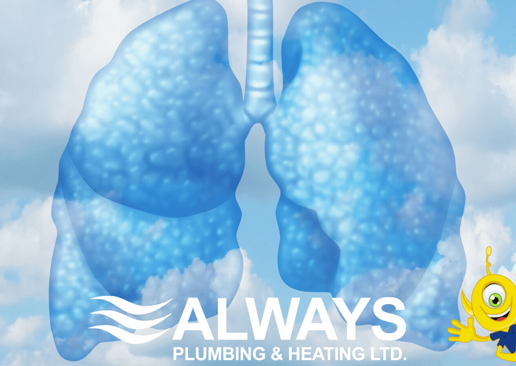 Is Your Home Making You Sick? Image