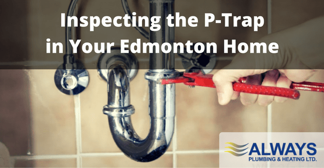 Inspecting the P-Trap in Your Edmonton Home Image