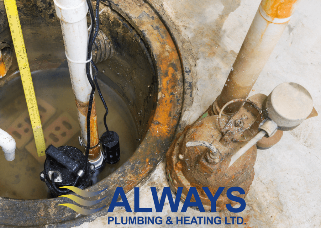 DIY Sump Pump Maintenance Image