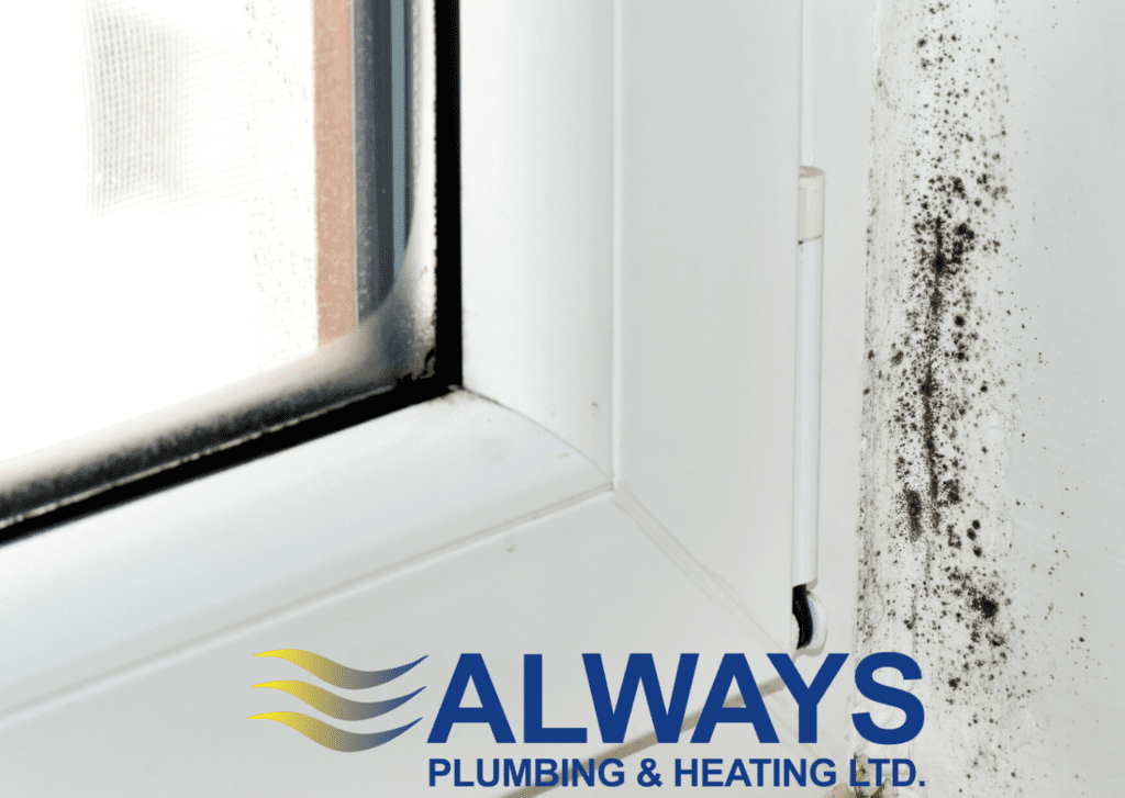 Controlling Household Condensation in Winter Image