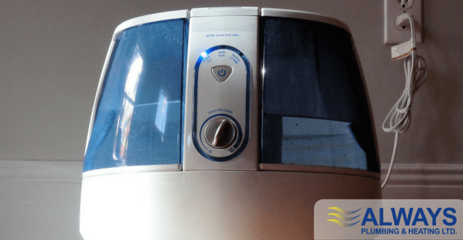 Benefits of a Room Humidifier in Your Edmonton Home Image