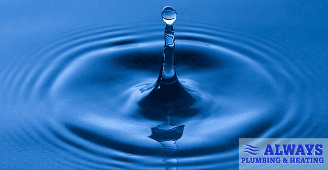 Supply Valve Locations in Your Edmonton Home Image